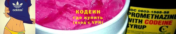 молекула духа Ладушкин