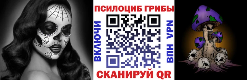 Галлюциногенные грибы MAGIC MUSHROOMS  Медынь 
